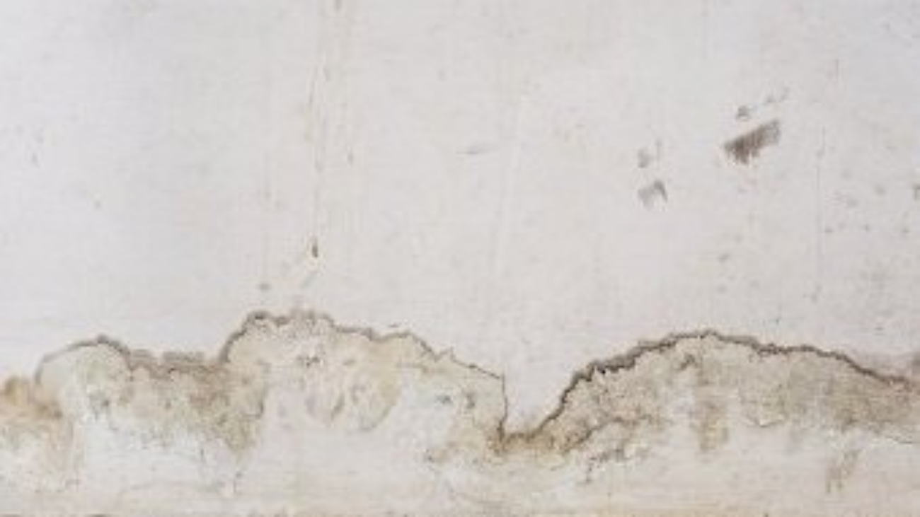 Royalty-plumbing-hidden-leak