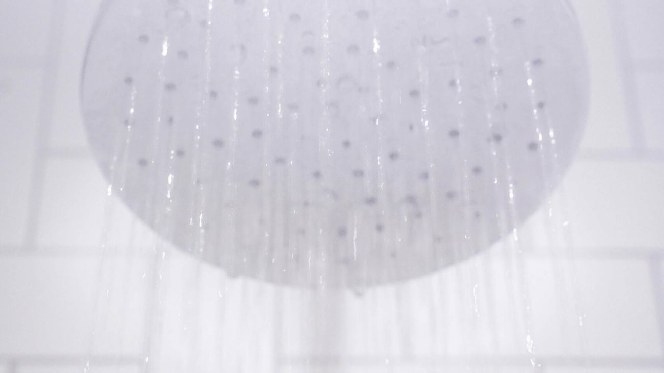 Royalty-plumbing-shower-head