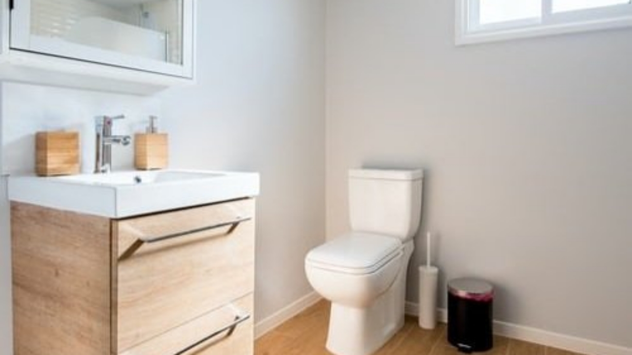 Royalty-plumbing-toilet-sounds